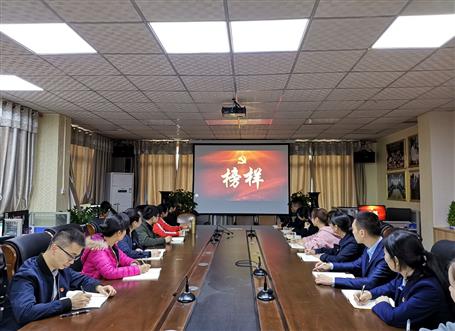 向榜樣看齊，做合格黨員