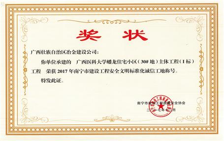 南寧分公司四個(gè)項(xiàng)目獲表彰！